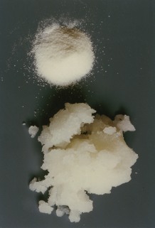 powder absorbs hazardous liquids